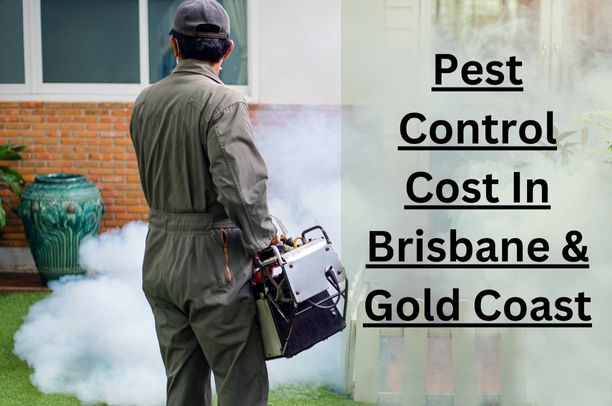 Pest Control Cost In Brisbane & Gold Coast [2024]